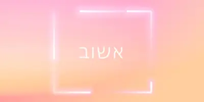החזרה של Snappy pink modern-bold
