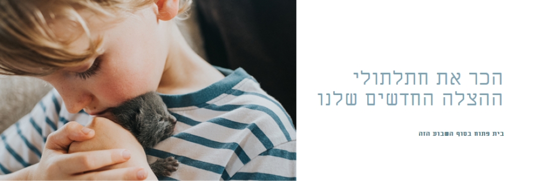 הכר את ההצלה החדשה שלנו pink modern-simple