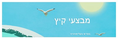 הכרזה על מכירת קיץ blue vintage-retro