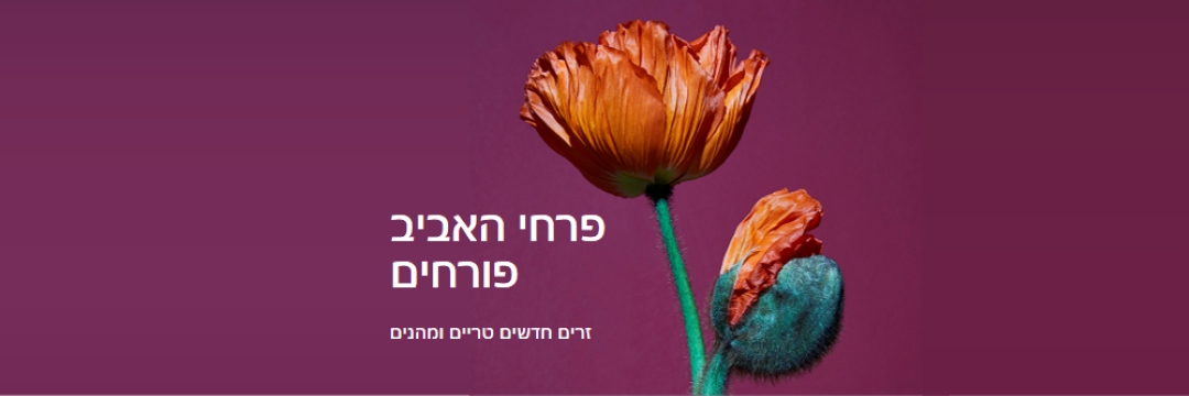 פרחים טריים purple modern-simple