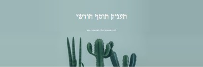 בוחן הענקת תוסף חודשי green modern-simple