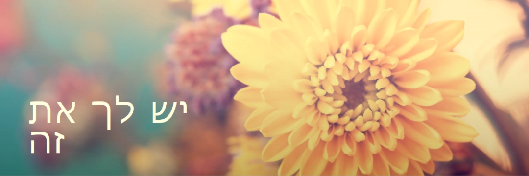 עלי כותרת משגשגים yellow modern-simple