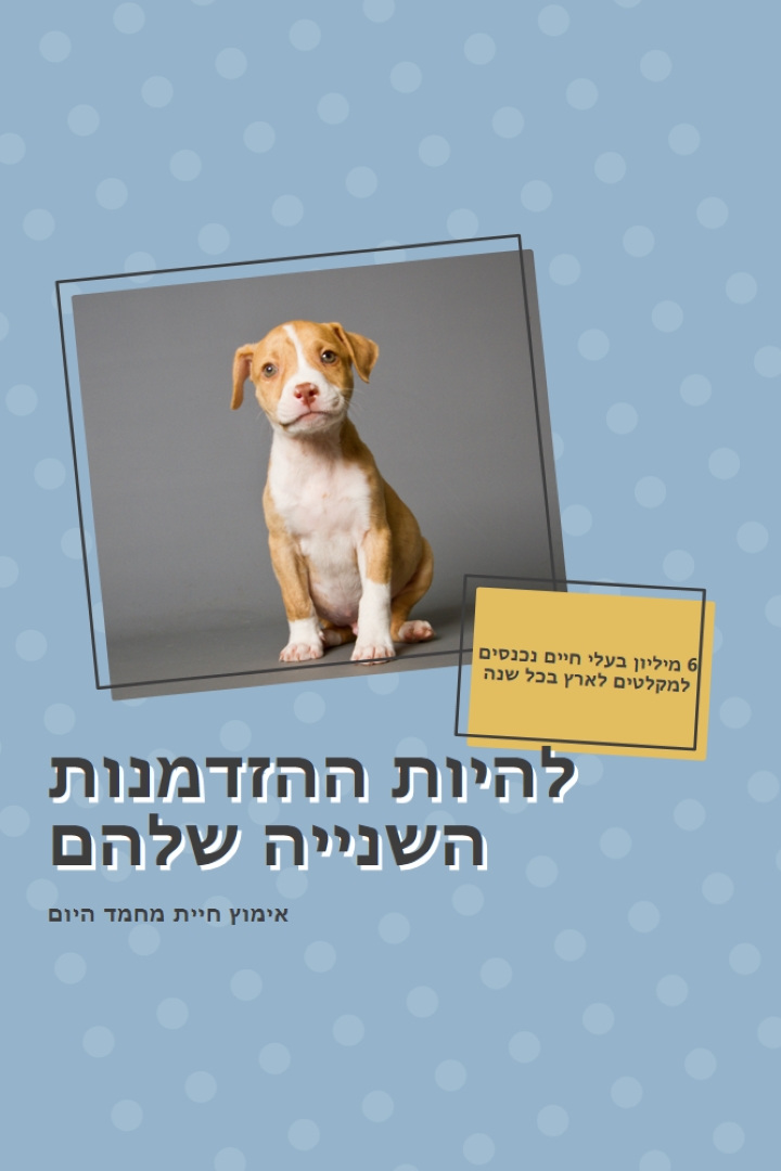 גור הזדמנות שנייה blue modern-bold