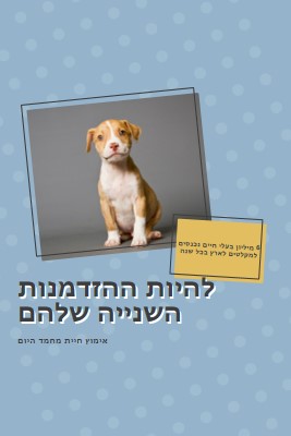 גור הזדמנות שנייה blue modern-bold