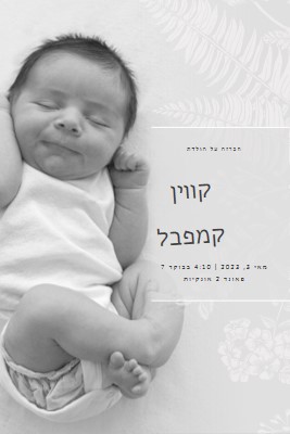 הכרזה על הלידה של gray modern-simple