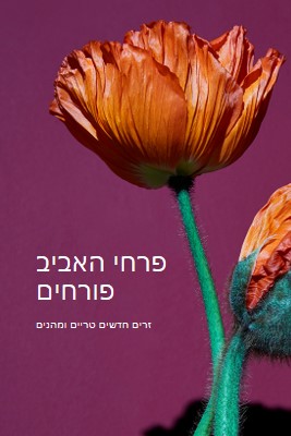 פרחים טריים purple modern-simple