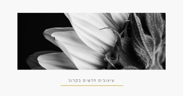 עלי כותרת חדים white modern-simple