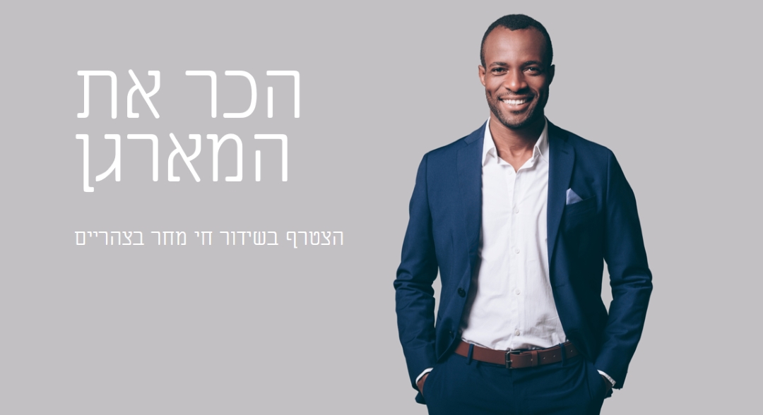 הכר את המארגן gray modern-simple