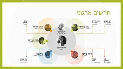 תרשים ארגוני של צוות modern simple