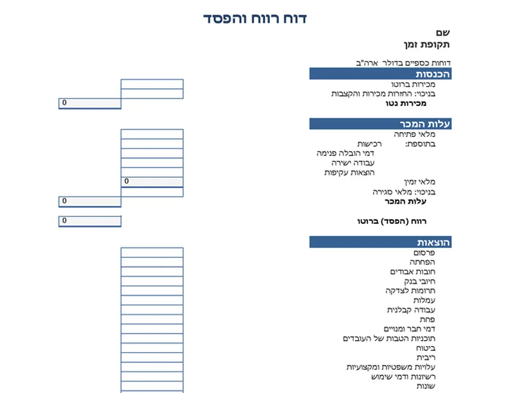 דוח רווח והפסד לשנה אחת