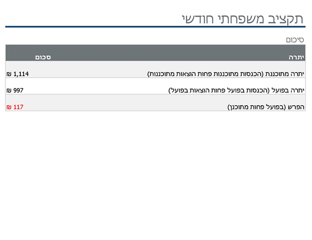 תקציב משפחתי חודשי modern simple