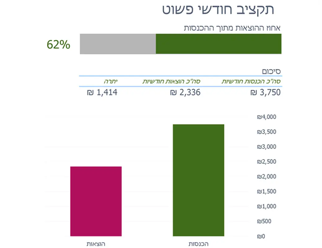 תקציב חודשי פשוט modern simple