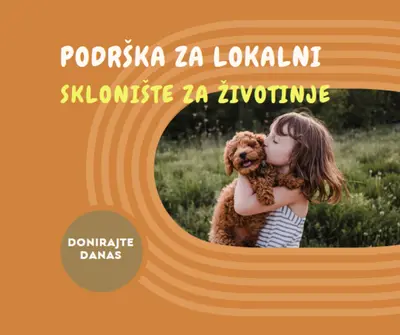 Pomoć za sklonište orange whimsical-color-block