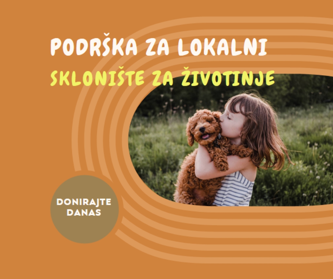 Pomoć za sklonište orange whimsical-color-block