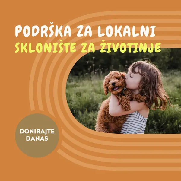 Pomoć za sklonište orange whimsical-color-block