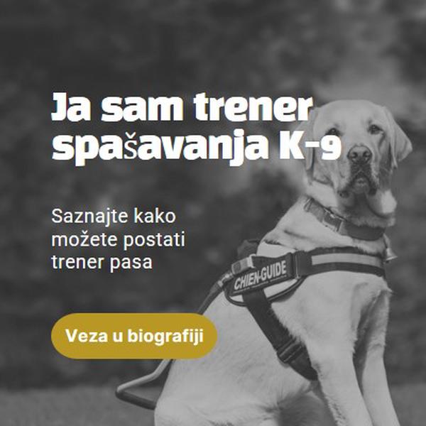 Ja sam trener pas spašavanja black modern-simple