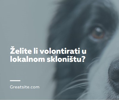 Volontirajte i razvedri se blue modern-simple