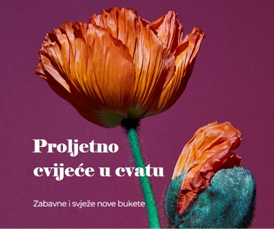 Svježe cvijeće purple modern-simple