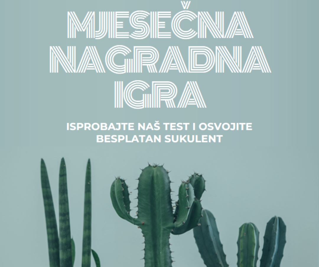 Test za mjesečne nagradne igre green modern-simple