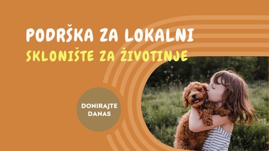 Pomoć za sklonište orange whimsical-color-block