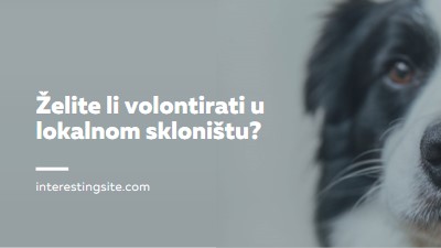 Volontirajte i razvedri se blue modern-simple