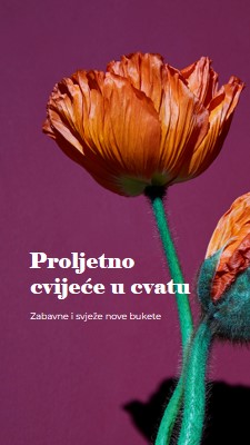 Svježe cvijeće purple modern-simple