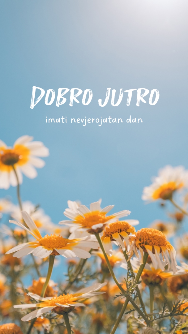 Uћi u sjajnom danu blue modern,simple,photography,flowers,birght,fresh