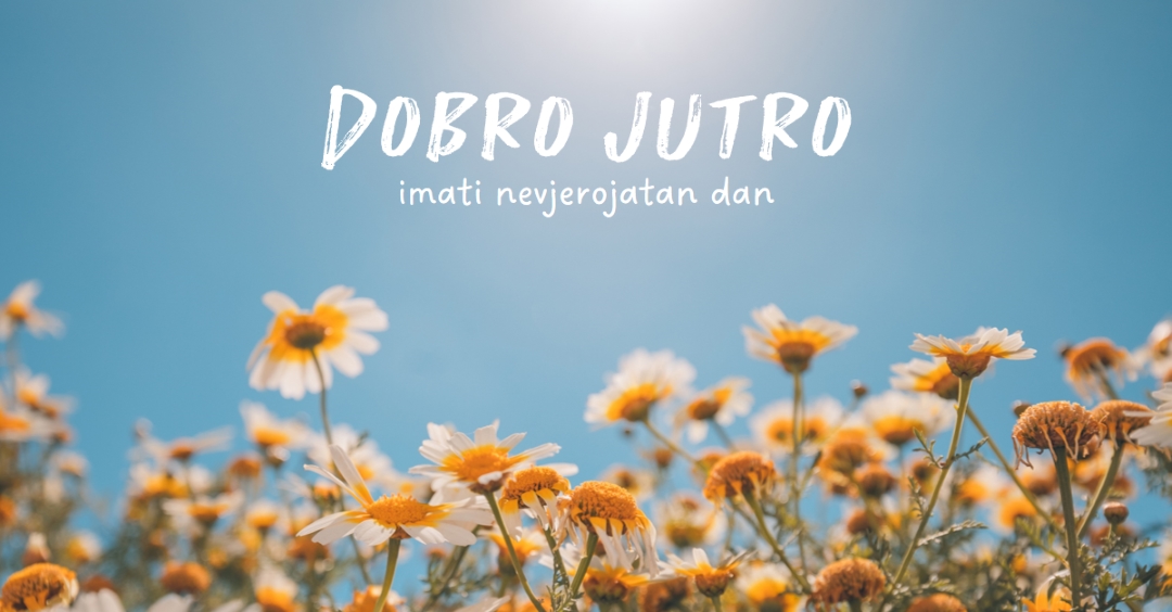 Uћi u sjajnom danu blue modern,simple,photography,flowers,birght,fresh