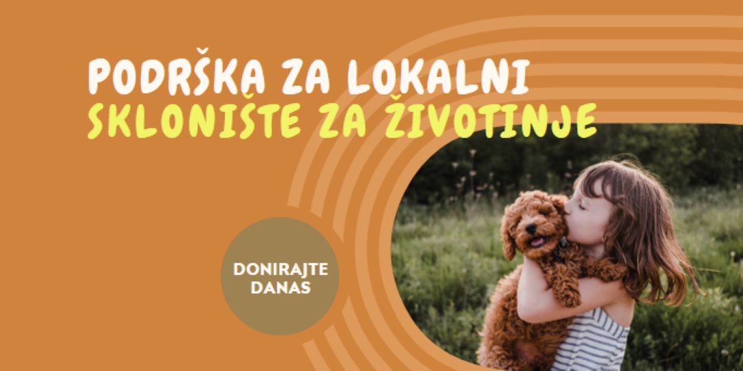 Pomoć za sklonište orange whimsical-color-block