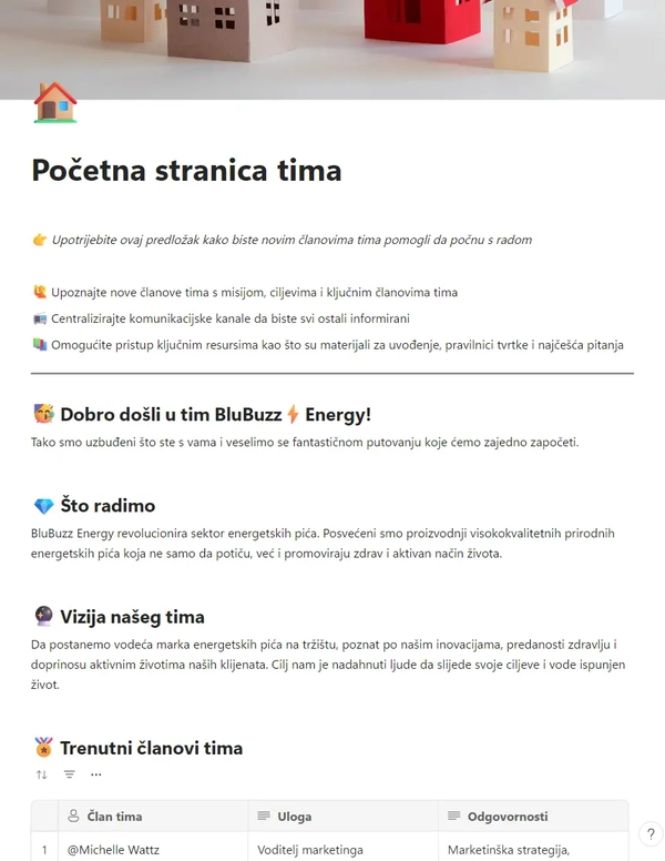 Početna stranica tima