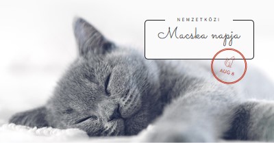 Macska nap gray modern-simple