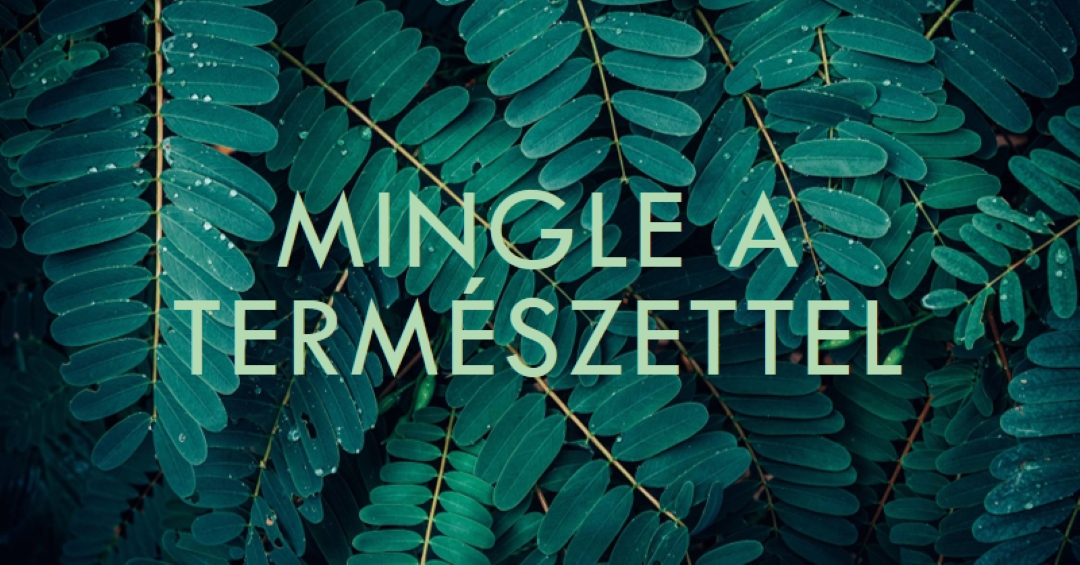 Mingle a természettel green modern-simple