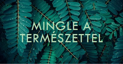 Mingle a természettel green modern-simple