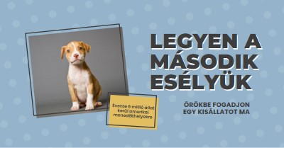 Második esélyű pup blue modern-bold