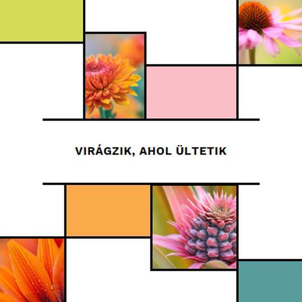 Virágozz ott, ahol ültetnek white modern-geo-&-linear