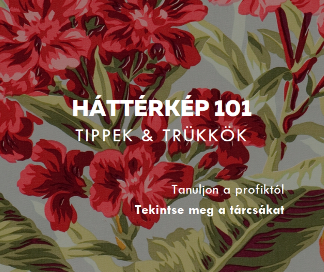 Teljesen helyreállítva green modern-simple