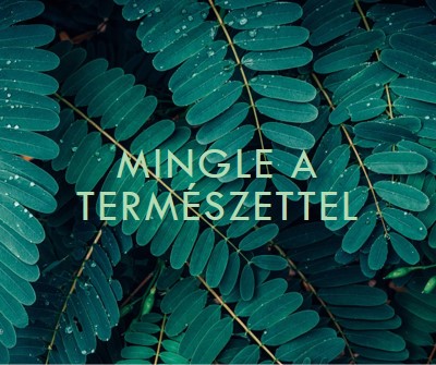 Mingle a természettel green modern-simple