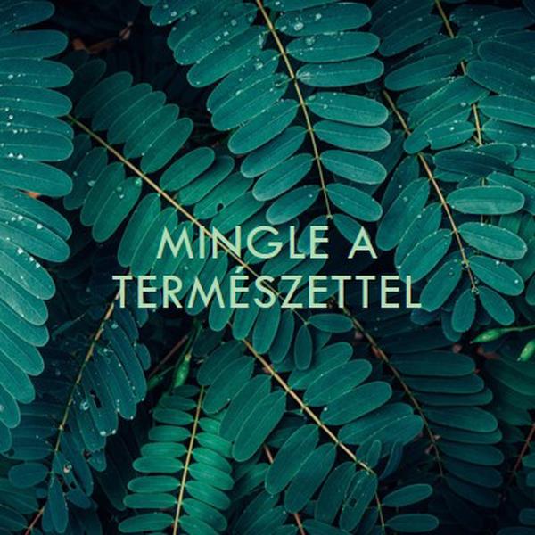 Mingle a természettel green modern-simple