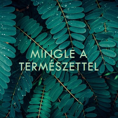 Mingle a természettel green modern-simple