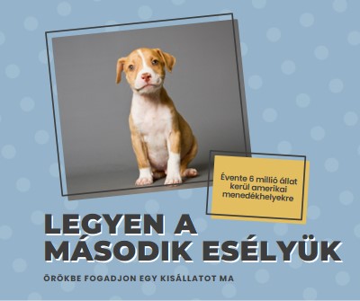 Második esélyű pup blue modern-bold