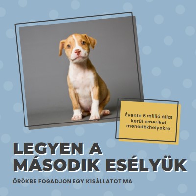 Második esélyű pup blue modern-bold