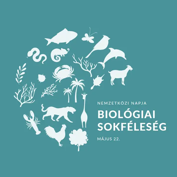 A biológiai sokféleség világnapjának ünnepe blue modern-simple