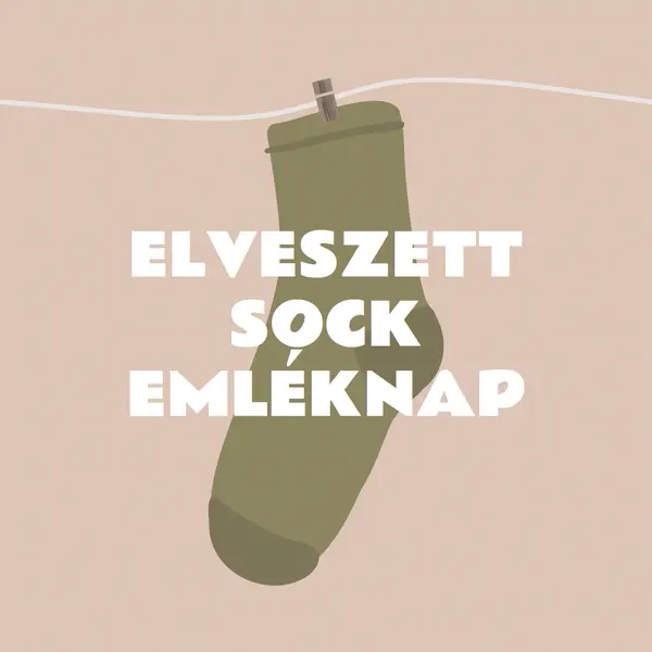 Az elveszett zokni emléknapja brown whimsical-color-block