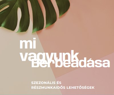 Idénymunkásokat veszünk fel pink modern-simple