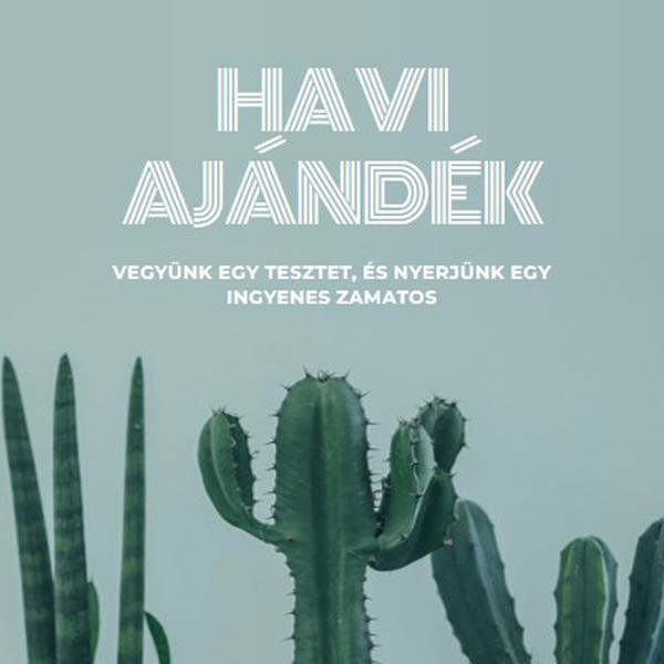 Havi ajándékkvíz green modern-simple