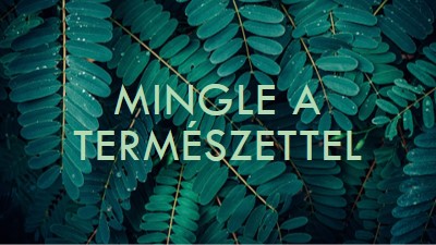 Mingle a természettel green modern-simple