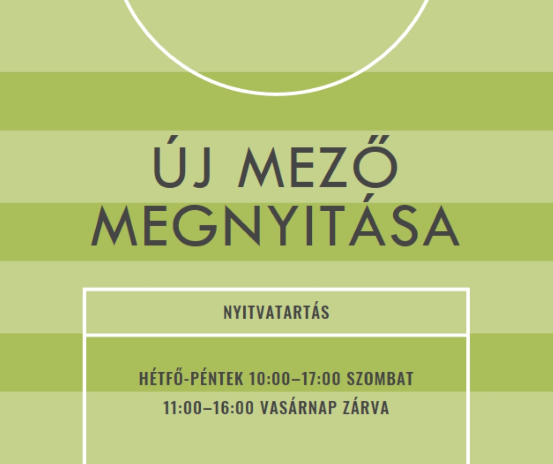 Mezőcélok green modern-geometric-&-linear