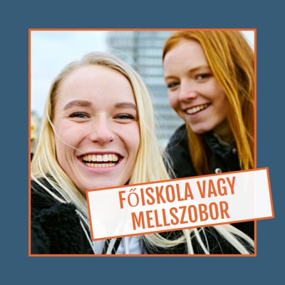 Főiskola vagy mellszobor blue modern-bold