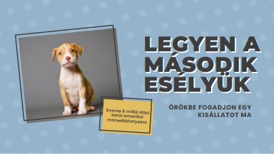 Második esélyű pup blue modern-bold