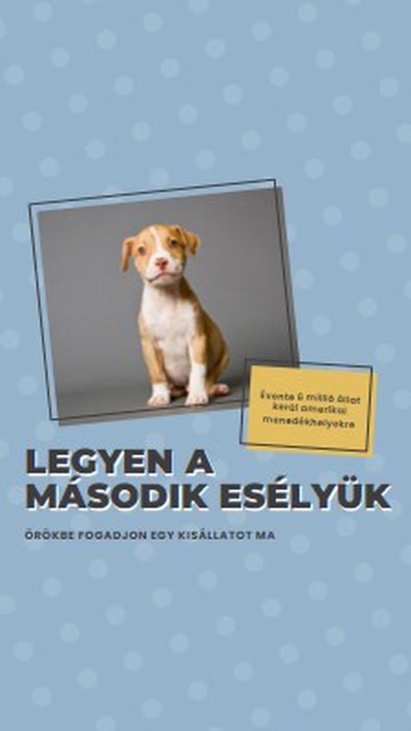 Második esélyű pup blue modern-bold